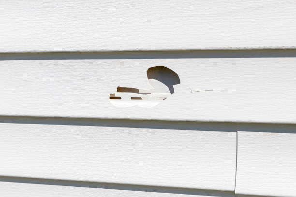 Best Custom Siding Design  in Erma, NJ